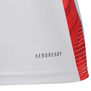 Camisa Regata Internacional 2025/26 Treino Cinza